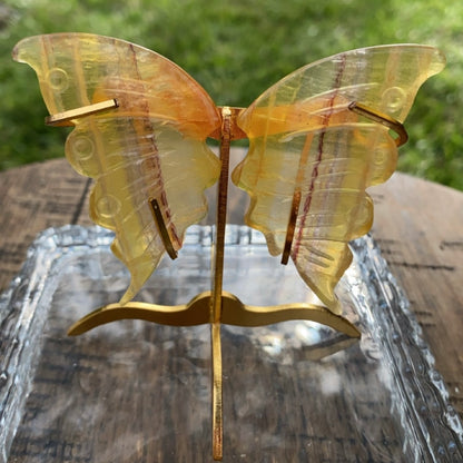 Yellow Fluorite Butterfly Wings