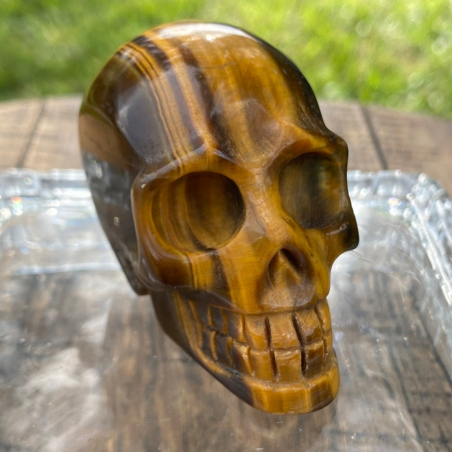 Tigers Eye Skull