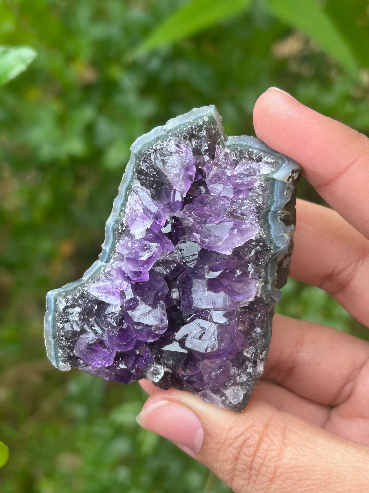 Jelly Amethyst Cluster