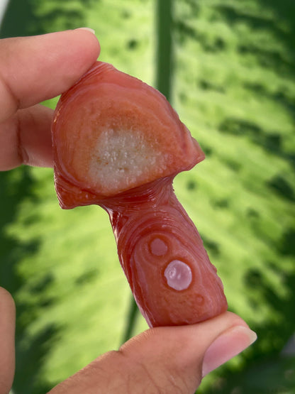 Gobi Agate Mushroom