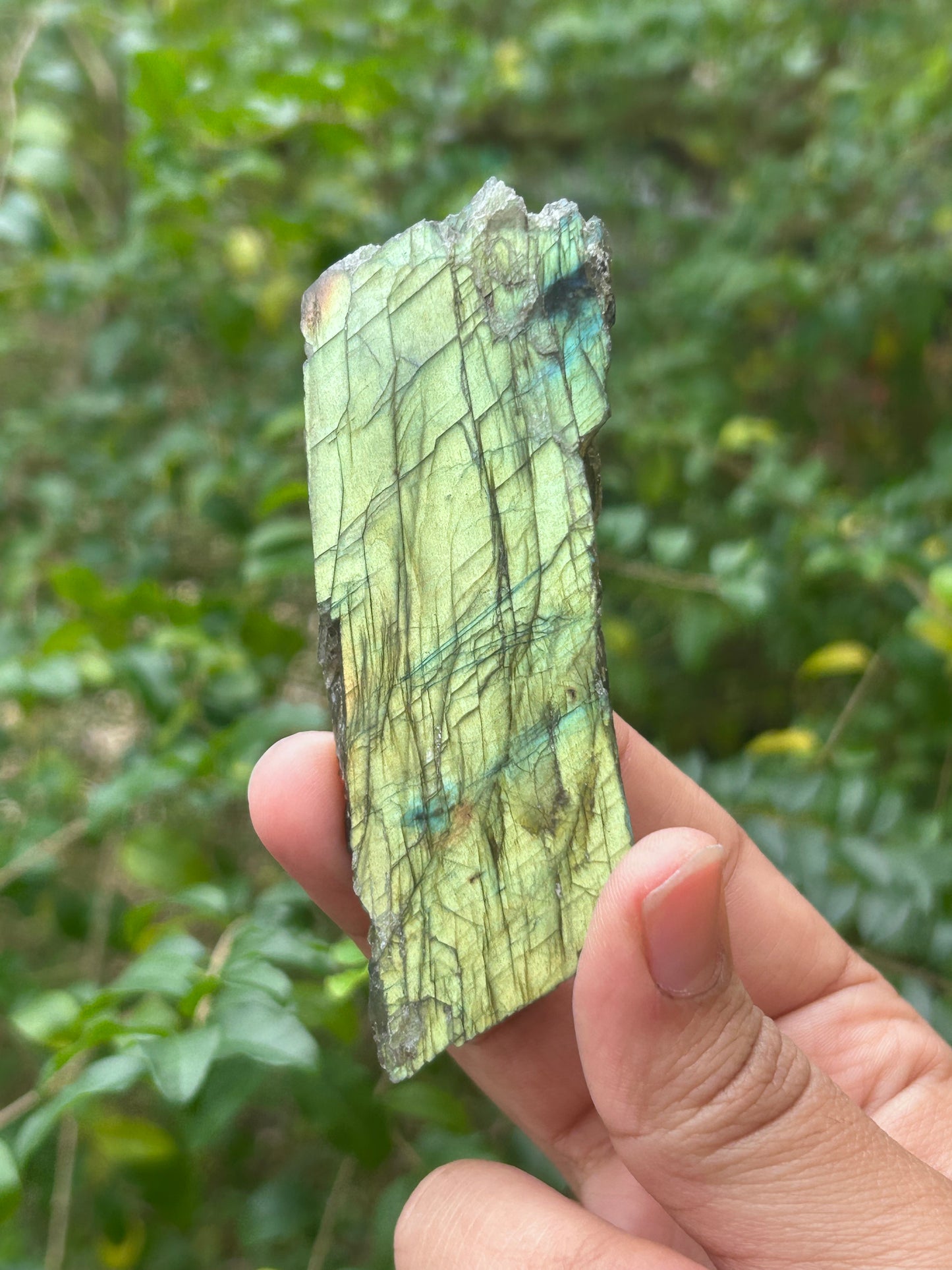 Green & Purple Labradorite Raw Slab