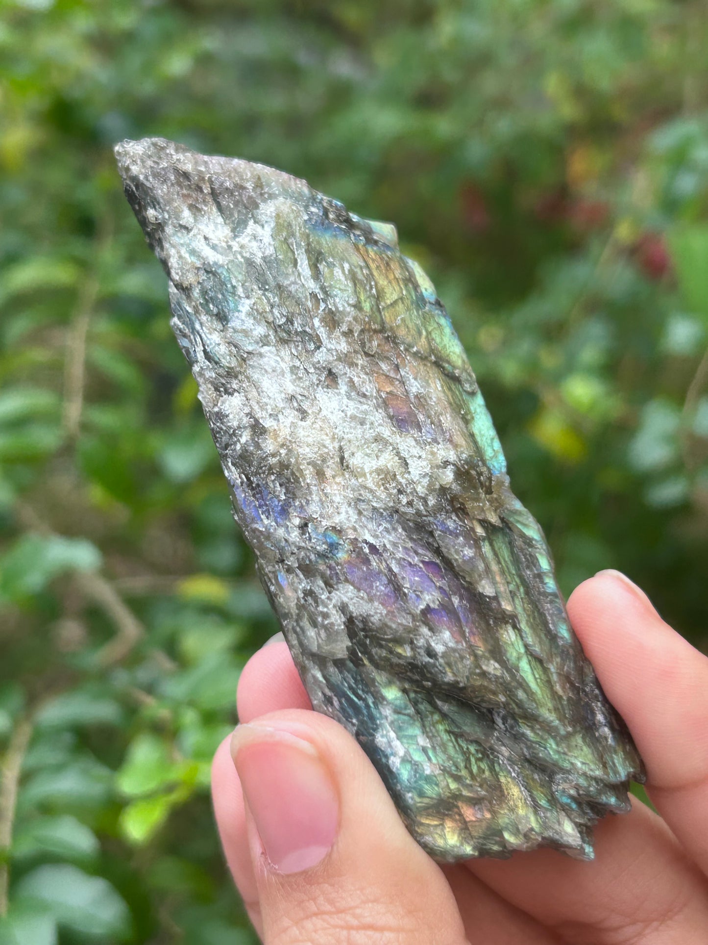 Green & Purple Labradorite Raw Slab