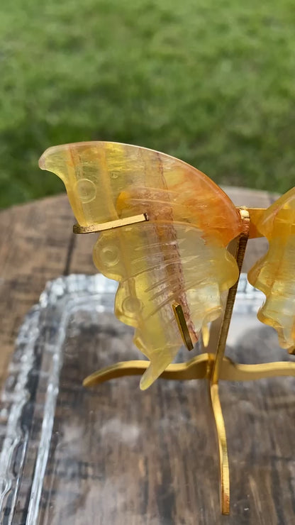 Yellow Fluorite Butterfly Wings