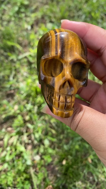 Tigers Eye Skull