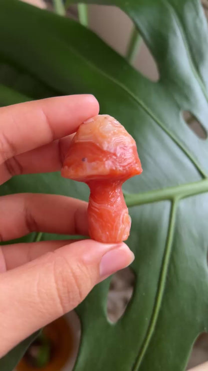 Gobi Agate Mushroom